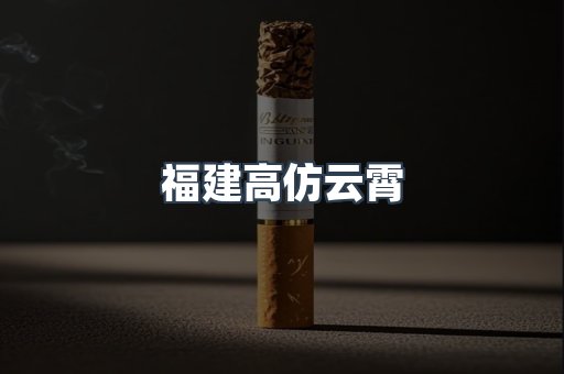 福建高仿云霄